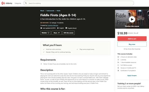 5 Best Fiddle Lessons for Beginners Review 2022 - CMUSE