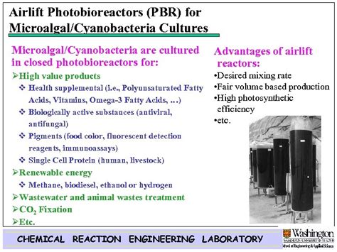 Culturing Microalgae In Photobioreactors Advanced Modeling And Experimentation