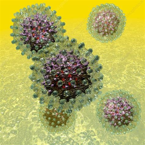 Hepatitis B Virus Particles Artwork Stock Image C016 9097