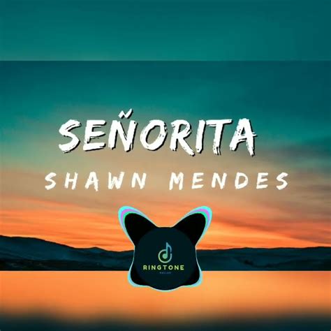 Shawn Mendes Camilla Cabello Senorita Viral Audioedits Senorita