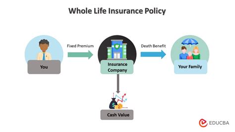 How Insurance Works Meaning Types Benefits Examples