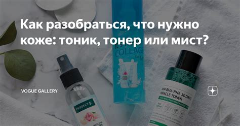 В чем заключаются отличия между тоником и тонером — основные сведения