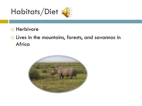 PPT - Black Rhino PowerPoint Presentation, free download - ID:1868174