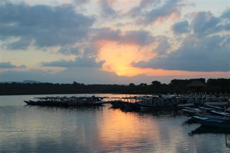 csf dives  indonesia conservation strategy fund