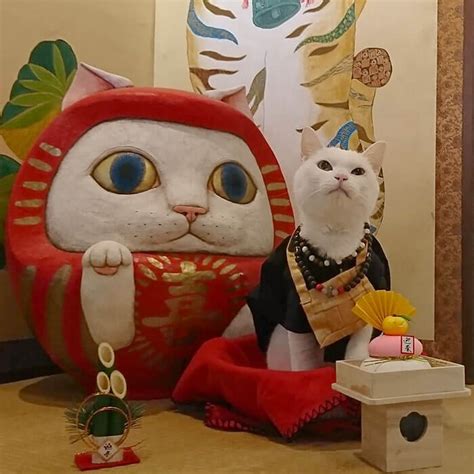 There Is A Japanese Cat Shrine, And Its Monks Are Adorable