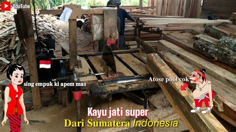 Kayu Jati Super Dari Sumatra Ini Sampai Merontokkan Mata Gergaji Serkel