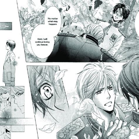 Aestheticised Depiction Of The Seme And The Uke In The Manga