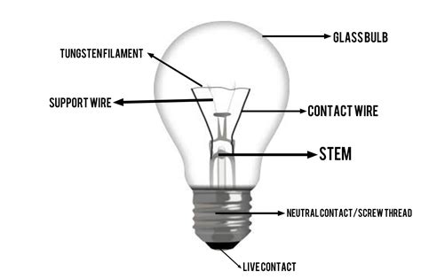 Incandescent Light Bulb Diagram