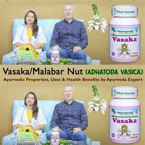 Stream Vasaka/Malabar nut (Adhatoda vasica)- Ayurvedic Properties, Uses ...