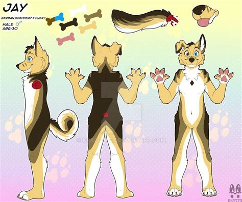 Jay Reference Sheet Commission By Krapette Rfurry