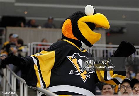 Pittsburgh Penguins Mascot Photos and Premium High Res Pictures - Getty ...