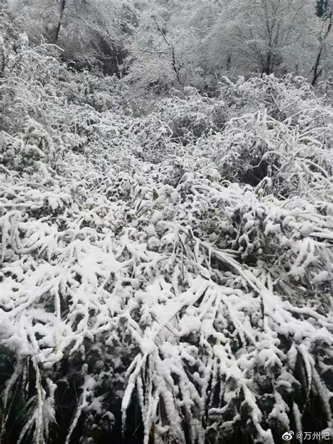 “张万森，万州又下雪了” 谁能想到，一场降温降雨后财经头条