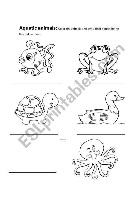 English Worksheets Aquatic Animals 1