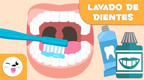 Cómo Lavarse Los Dientes Paso A Paso Lavado De Dientes Para Niños Youtube