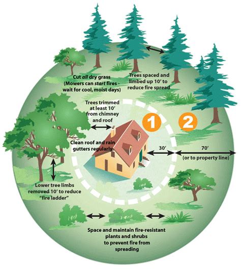 How To Create Defensible Space And Reduce Wildfire Risk Around Your