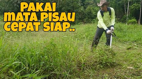 Kembali Potong Rumput Setelah Siap Baiki Pawl Starter Overgrown Lawn Mowing Youtube