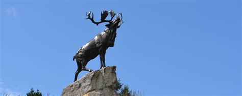 Mémorial terre neuvien à Beaumont Hamel Anciens Combattants Canada