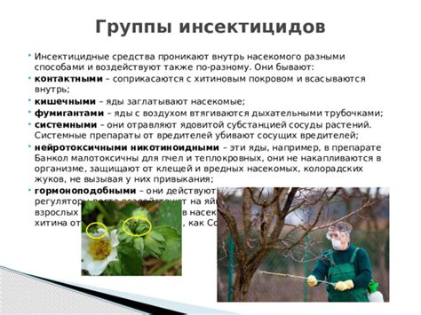 Презентация по теме "Химия в повседневной жизни"