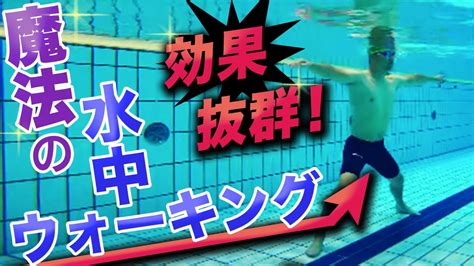 事 卒業 教えて 水泳 ダイエット 1 ヶ月 10 キロ メジャー 慈善 複雑な