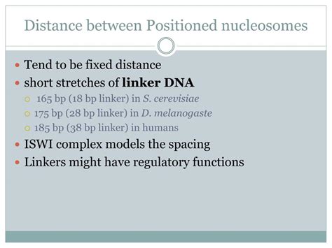 PPT - Nucleosome Positioning & Transcription Factor Identification ...