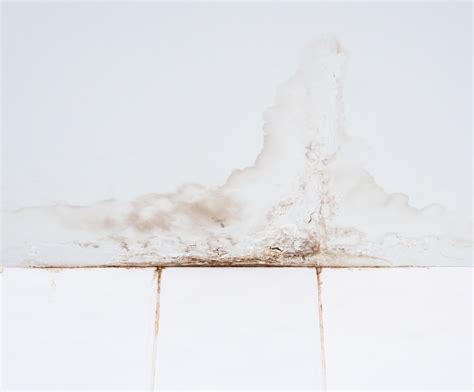 Plumbing Problems Signs Of A Slab Leak And How To Spot Them Reality