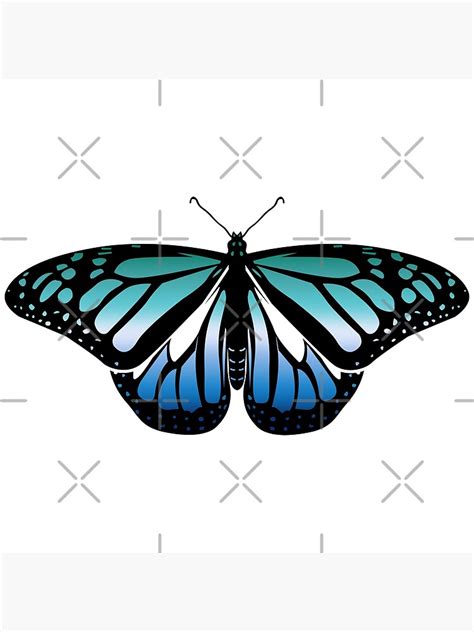 P Ster Mariposa Del Orgullo Del Hombre Gay De Brenda Lee Redbubble