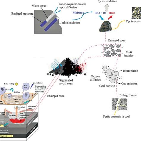 Pdf The Simultaneous Effect Of Moisture And Pyrite On Coal