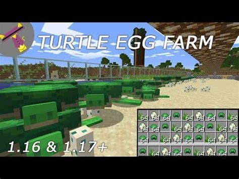 Turtle Egg & Scute Farm : MinecraftTutorials