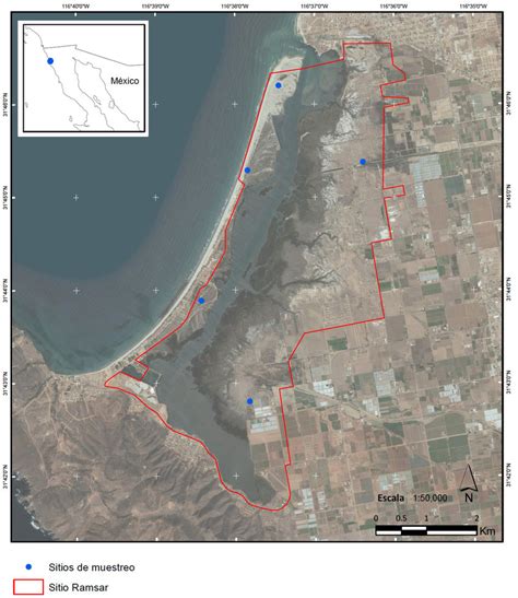 Ubicación de los sitios de muestreo en el Estero de Punta Banda