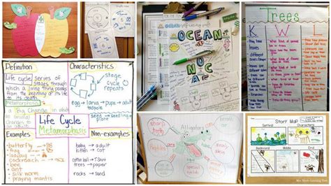 Graphic Organizers 101: Why and How To Use Them - We Are Teachers