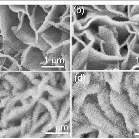 SEM Images Of The Morphology Evolution Of The NiCo 2 O 4 NiMoO 4