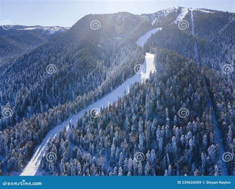 Aerial Winter View Of Rila Mountain Near Of Borovets Bulgaria Stock