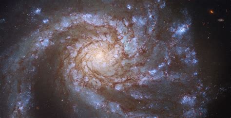 Hubble Space Telescope spots 'grand design' galaxy in stunning new ...