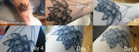 How Long Do Tattoos Take To Heal Tattooadore