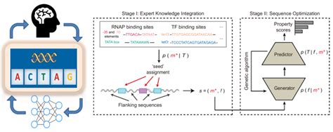 Nature子刊清华大学汪小我团队开发AI辅助的启动子序列优化方法DeepSEED 腾讯新闻