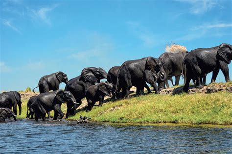 Circuit La Grande Traversee De L Afrique Australe Afrique Du Sud