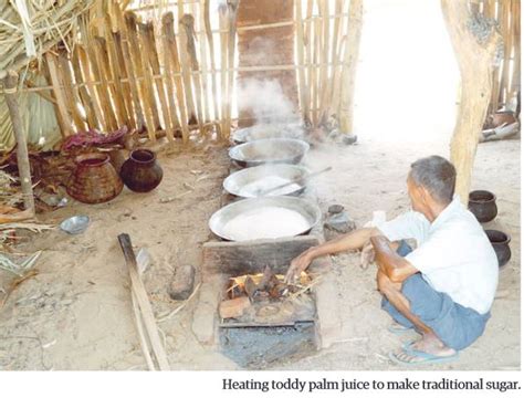 The Beauty Of Anyar Upper Myanmar And The Life Of Toddy Plam Trees