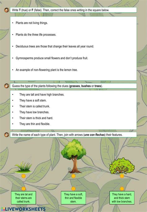 Plant Kingdom Interactive Worksheet Live Worksheets Worksheets Library