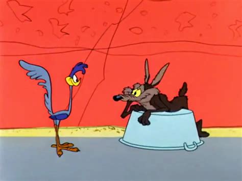 Road Runner And Wile E. Coyote wallpapers, Cartoon, HQ Road Runner And ...