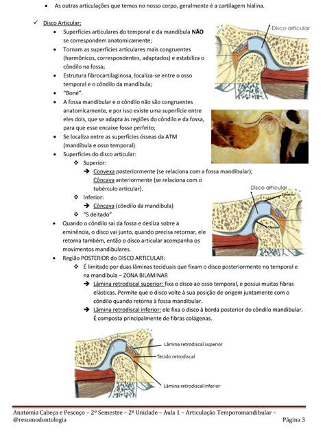 Resumo Periodontia Resumos De Odontologia