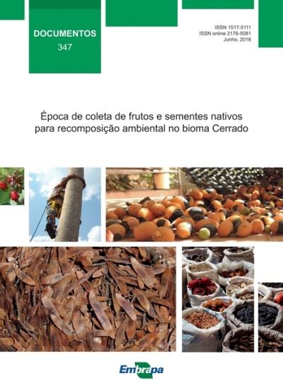 Coleta De Frutos E Sementes Nativos Do Cerrado