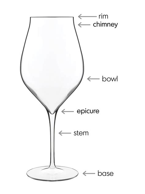 Bauscherhepps Guide To Wine Glasses