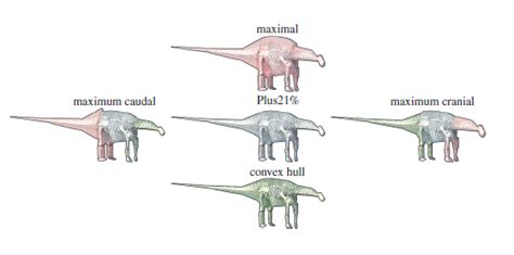 The evolution of sauropod dinosaurs