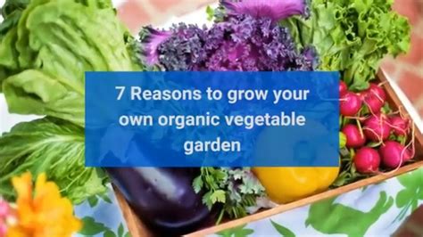 7 Reasons To Grow Your Own Organic Vegetable Garden Youtube