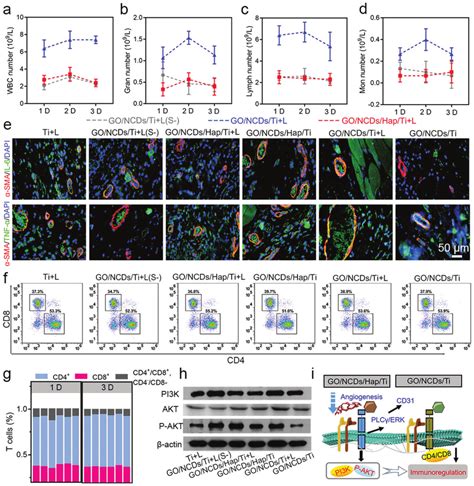 Immune Cells Number Calculation In The Blood At 1 D 2 D And 3 D