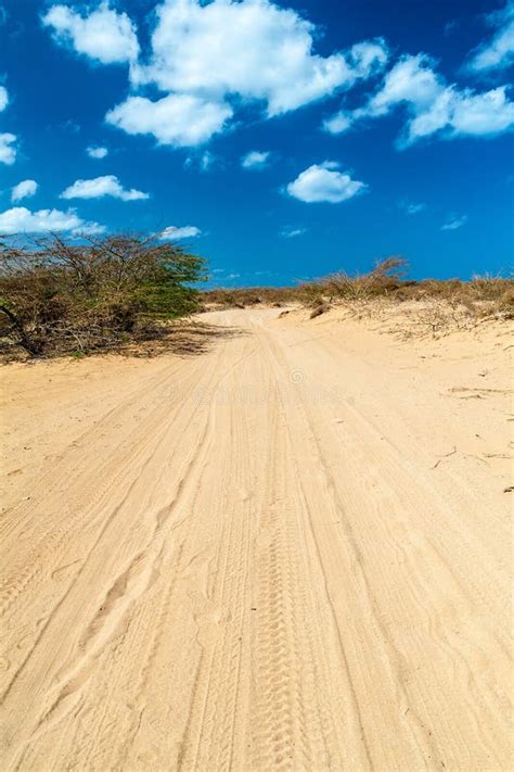 La Guajira desert stock image. Image of bush, semidesert - 132324831