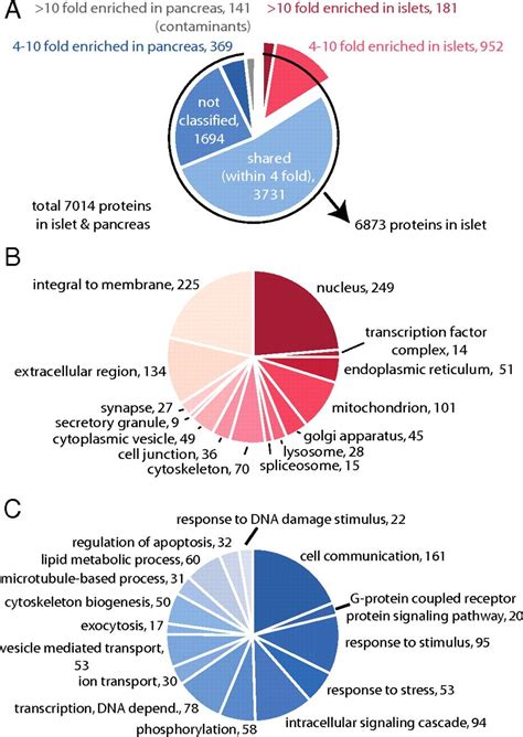 Quantitative Proteomic Analysis Of Single Pancreatic Islets Pnas