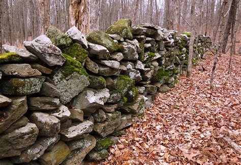 New England Stone Walls Historic Northampton