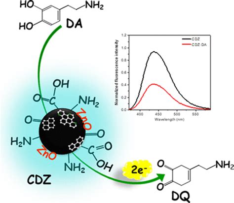 用于灵敏和选择性多巴胺检测的 Zno 相关碳点荧光测定acs Omega X Mol