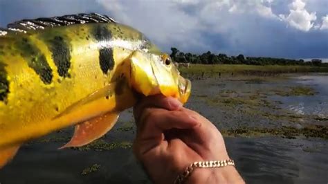 COMEÇAMOS NOSSA PESCARIA EM SANTA VITORIA E PEGAMOS O PRIMEIRO PEIXE